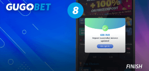 Your deposited funds will be credited to your main wallet almost instantly.